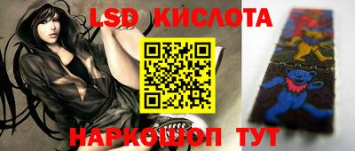 гидра Камышлов