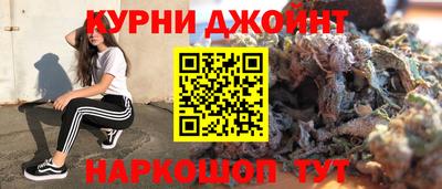 гидра Камышлов