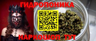 гидра Камышлов